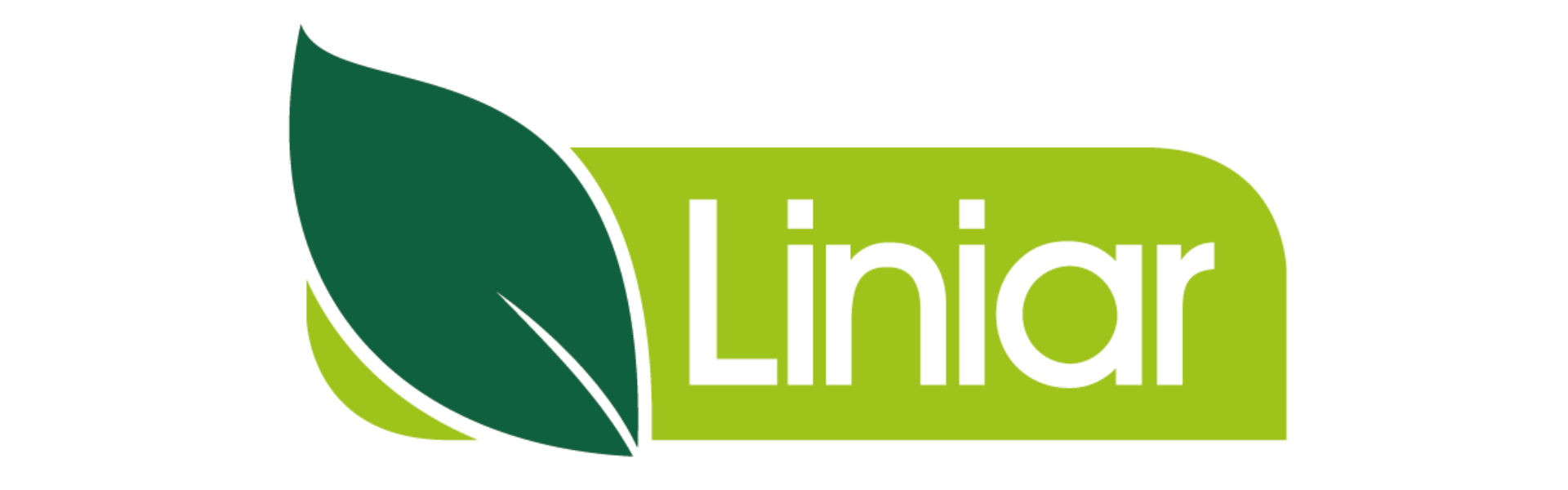 Linier window